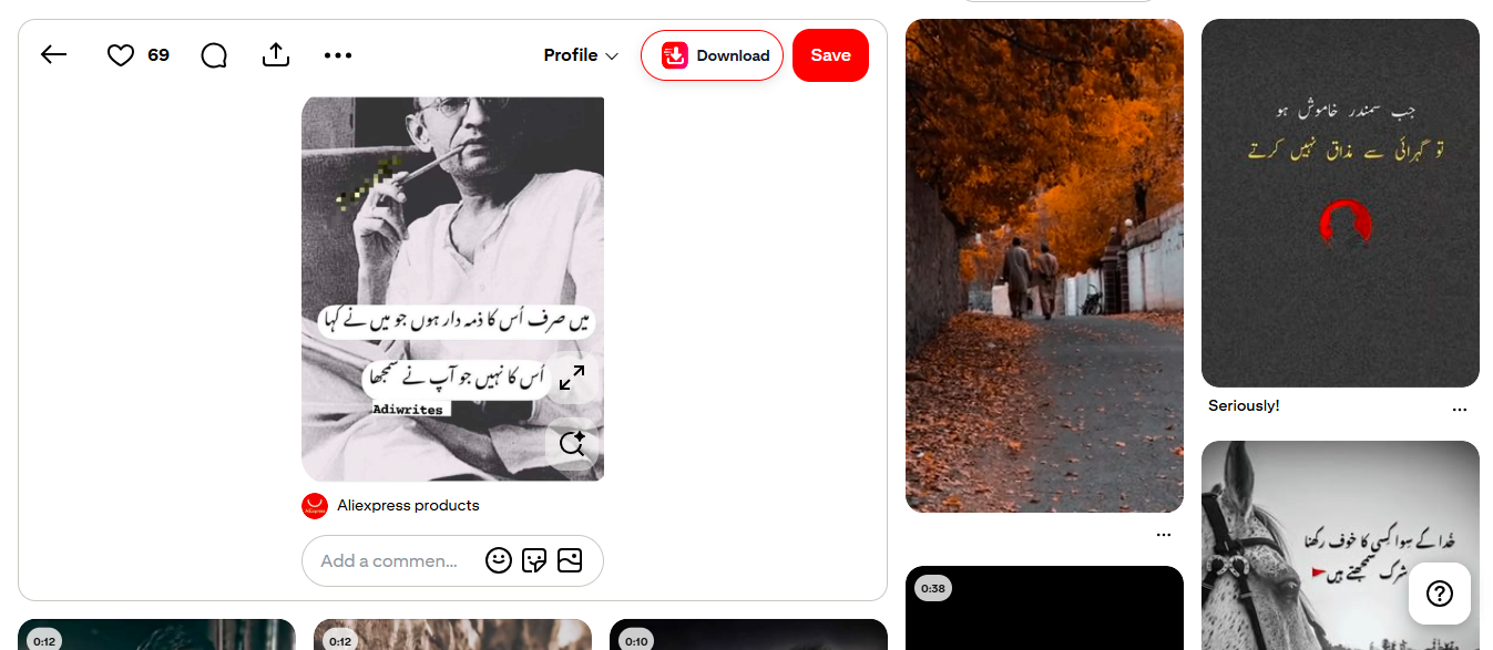 PinVideo extension on an image Pin